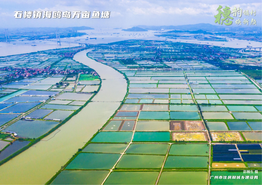 穗韵镇村焕新颜【典型镇建设成效】番禺区石楼镇171 (1)_04.jpg