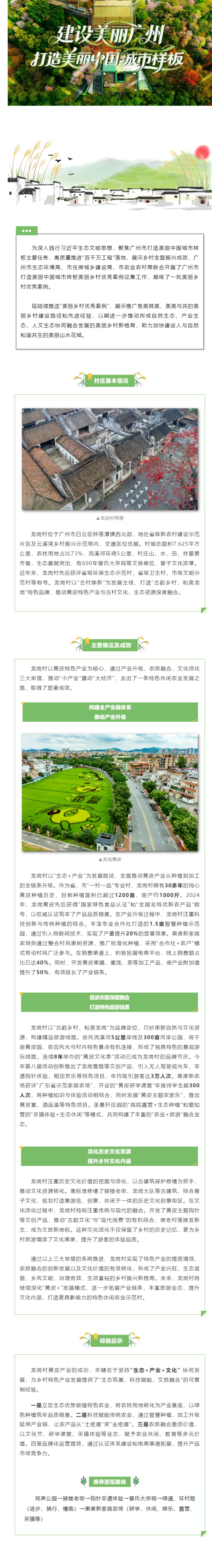 美丽乡村优秀案例(10)_ 白云区龙岗村:小黄皮激活大产业,