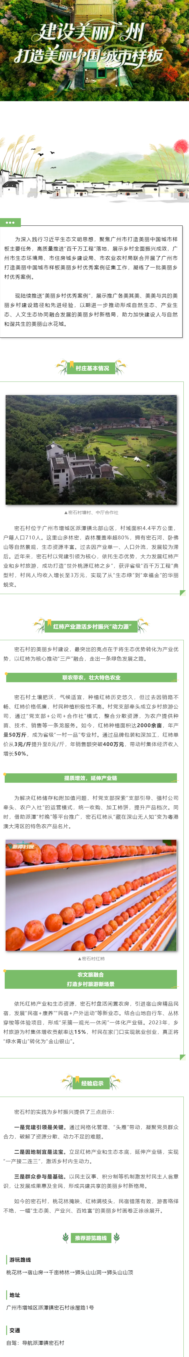 美丽乡村优秀案例(11)_ 增城区密石村:红柿产业绘就美丽乡村新画卷.png