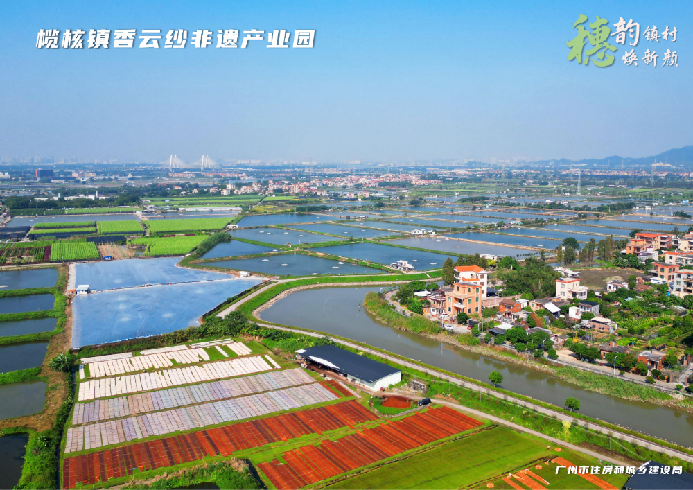 穗韵镇村焕新颜【典型镇建设成效】南沙区榄核镇114_04.png
