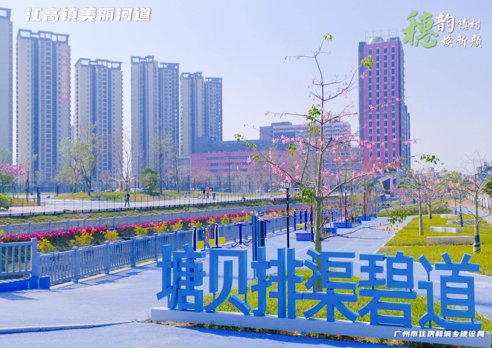 穗韵镇村焕新颜【典型镇建设成效】白云区江高镇1718_02.jpg